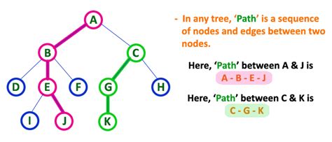 Image result for Tree Terminology Data Structure