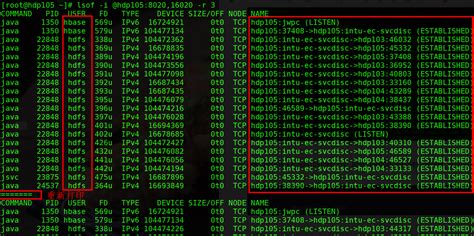 Toradh íomhá ar Lsof Java Result