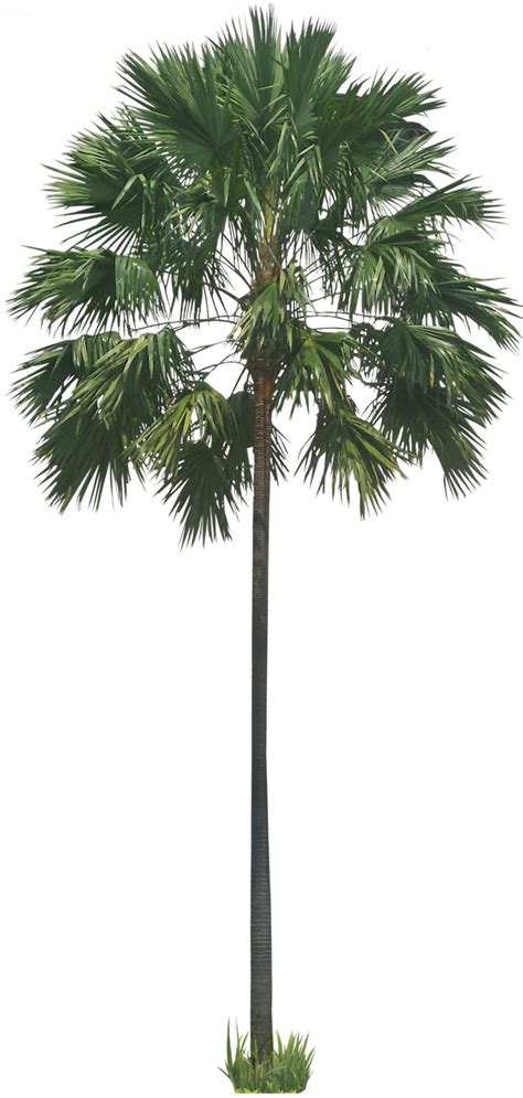 Afbeeldingsresultaten voor Site Drawings for Timelines