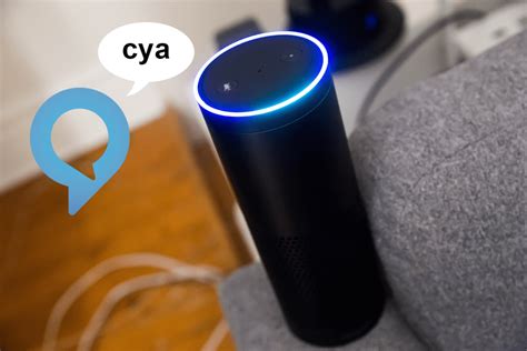 Image result for Alexa Virtual Assistant