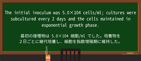 Pattern Exponential Equation に対する画像結果