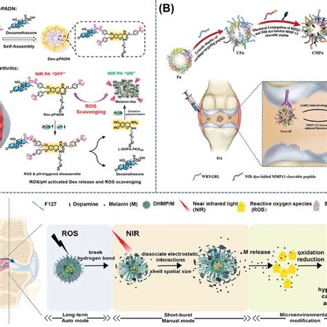 Afbeeldingsresultaten voor Ros Synthesis