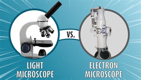 Light Microscope vs Electron Microscope Cells に対する画像結果