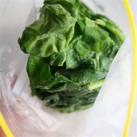 Image result for How to Freeze Spinach Leaves