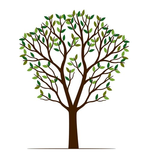 Image result for Free Green Tree Vector