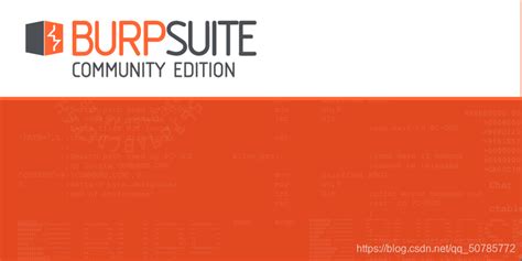 Burp Image Human に対する画像結果