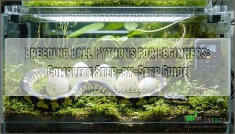 Ball Python Reproduction に対する画像結果