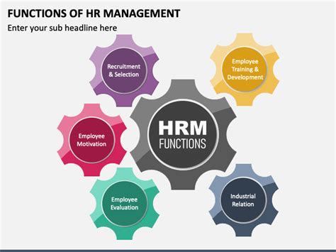 Human Resource Management Function માટે ઇમેજ પરિણામ