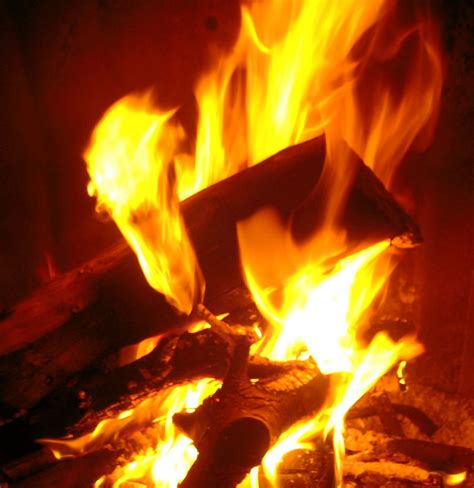 Image result for Fire Extinguisher Inspection Card
