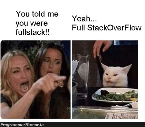 Stack Overflow Drowning Meme-এর ছবি ফলাফল