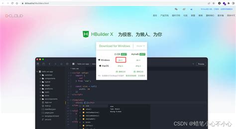 Image result for Hbuilder Language Pack