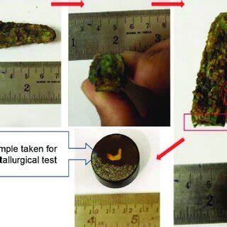 Mode of Sample Collection માટે ઇમેજ પરિણામ