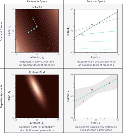 Function Gradient Model に対する画像結果