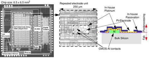 Image result for Electrode Array Chip