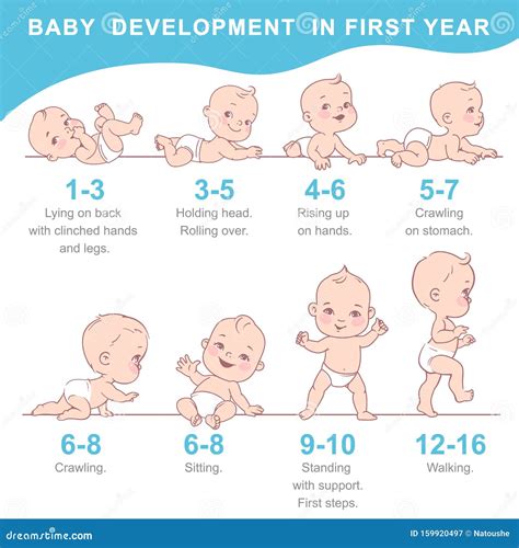 Image result for Growth and Development Chart