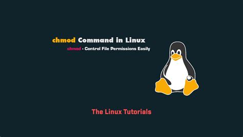 Image result for Linux Chmod Used