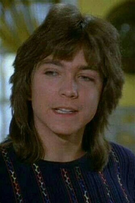Afbeeldingsresultaten voor David Cassidy Partridge Family