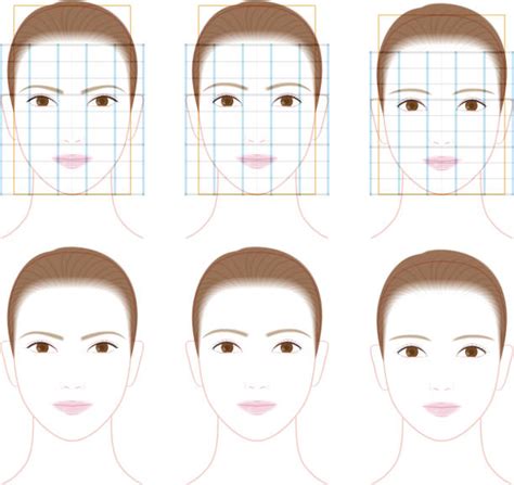 Image result for Face Side View Proportions