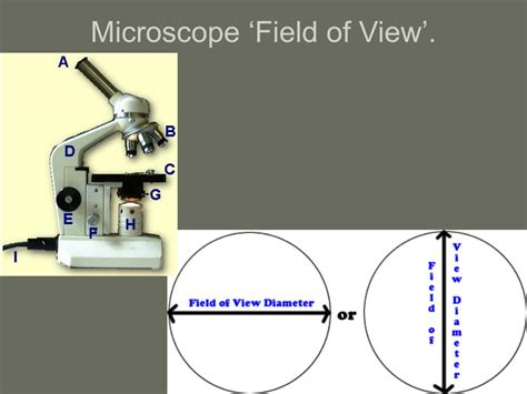 Toradh íomhá ar Field of View On a Microscope