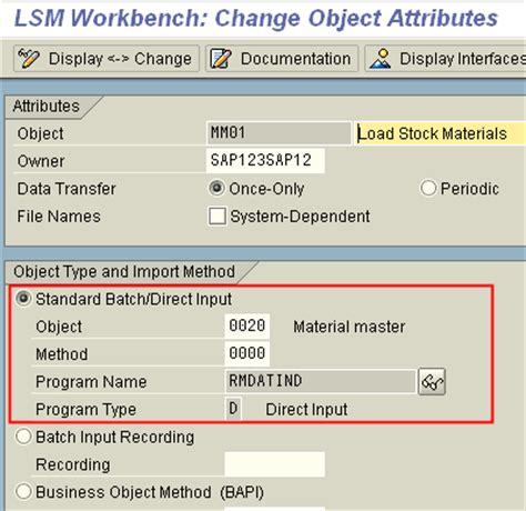 Toradh íomhá ar LSMW Direct Input Sample Data