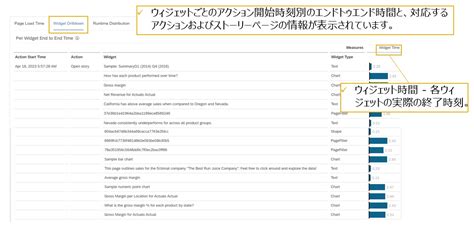 SAP Data Analyzer に対する画像結果