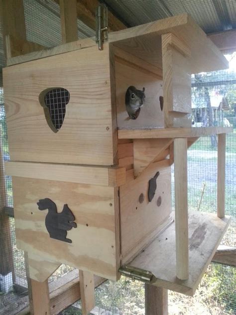 Fox Squirrel Nest Box に対する画像結果