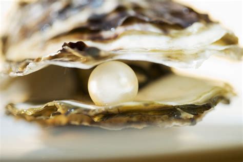 Diamond Dowel Pin に対する画像結果