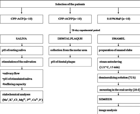 Study Design Chart に対する画像結果