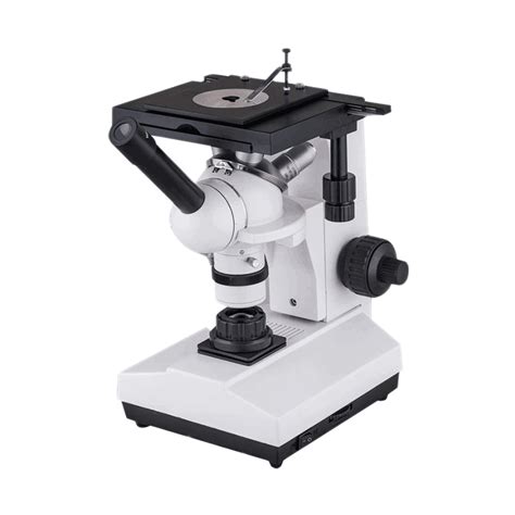 Toradh íomhá ar Field of View On a Microscope