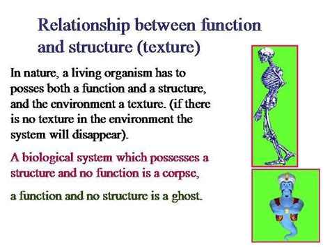 Image result for Function Structure Diagram