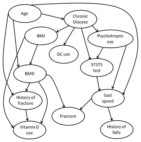 Image result for Causal Bayesian Network for Fairness Example
