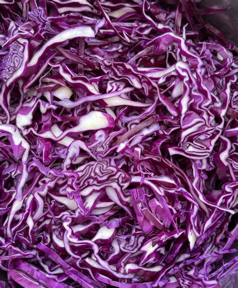 תוצאת תמונה עבור Salt Cabbage