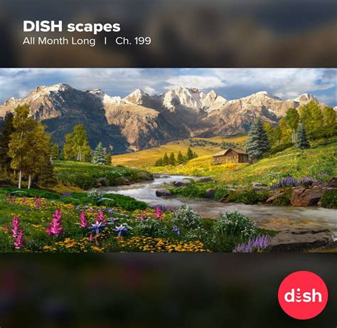 Image result for DishTV Scapes