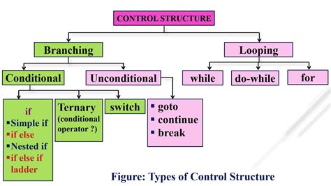 Image result for Example Do Control Structure Statement