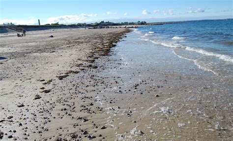 Image result for New England Cape Cod