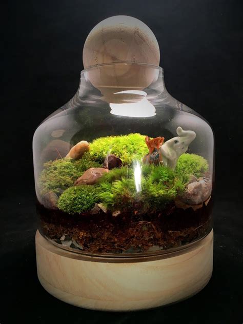 Afbeeldingsresultaten voor Elephant Moss