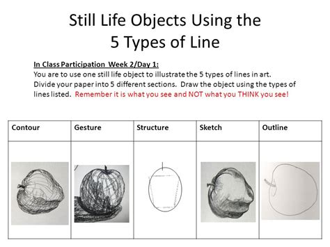 Image result for Types of Lines in Sketching