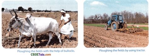 Image result for Method of Crop Production
