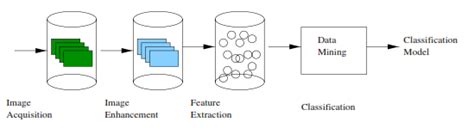 Image result for Classification System Acronym