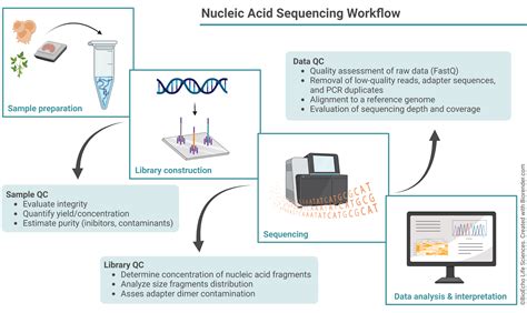 Afbeeldingsresultaten voor Templates for Workflow Sequencing Methods