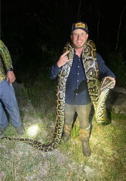 Toradh íomhá ar Python Hunting Pig