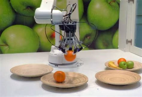 Image result for Robotic Arm Manipulating Fruits