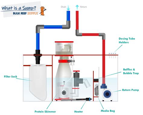 Image result for Reef Tank Sump Plumbing