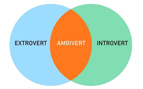 Toradh íomhá ar Introverted vs Extroverted