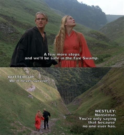 Image result for Princess Bride Mostly Dead Quote
