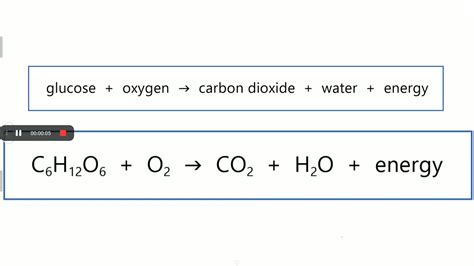 Afbeeldingsresultaten voor Cellular Respiration Formula Equation