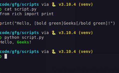 Image result for Example of Python Rich Library
