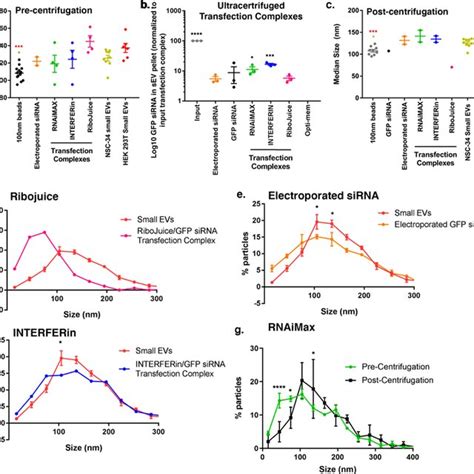 RNAiMAX Reverse Transfection に対する画像結果