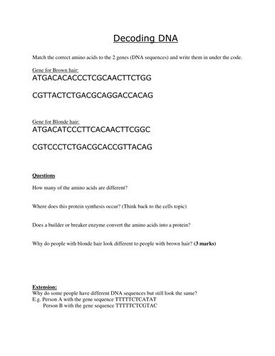 Toradh íomhá ar Decoding DNA Worksheet