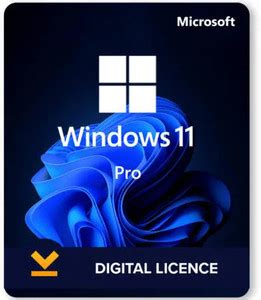 Toradh íomhá ar Check Windows 11 Key Validity